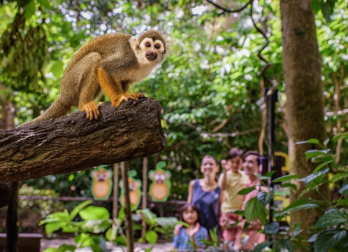 シンガポール動物園